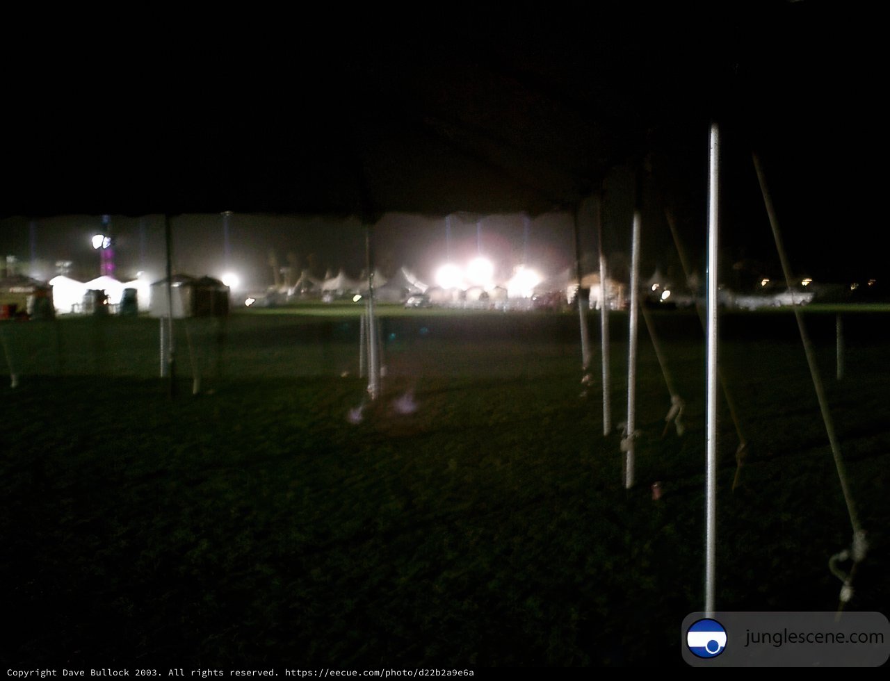 Field Illuminated at Night