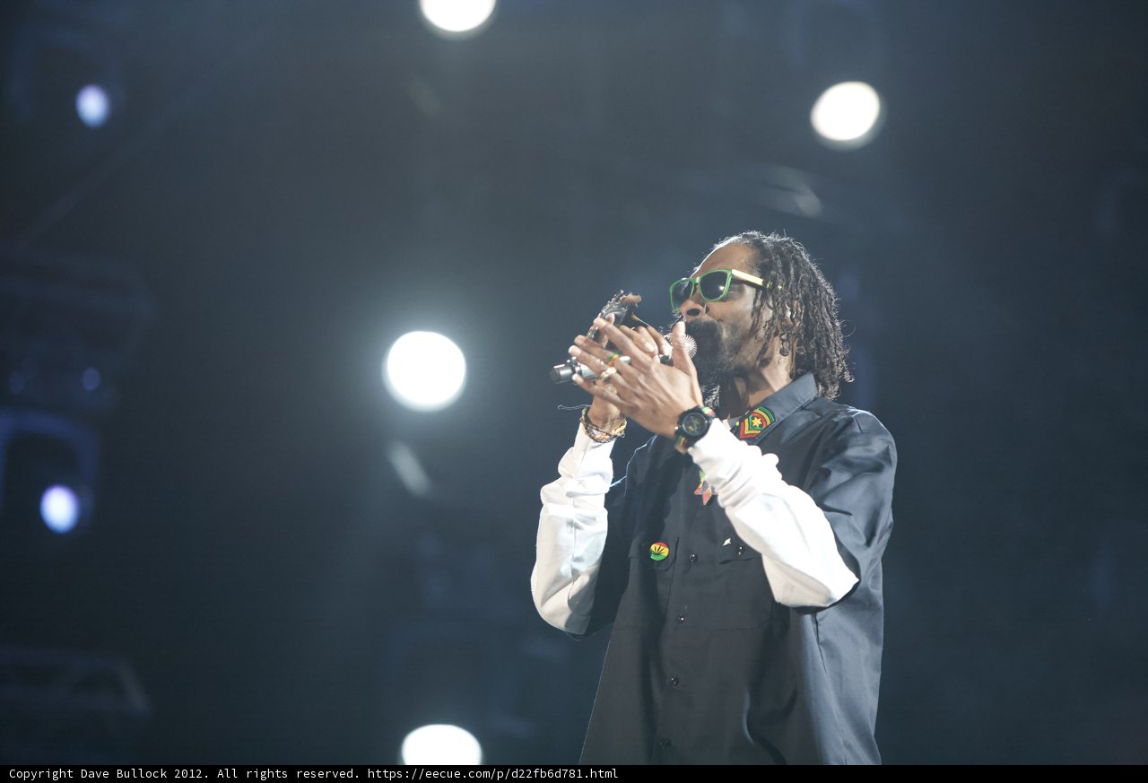 Snoop Dogg Steals the Spotlight at Coachella 2013