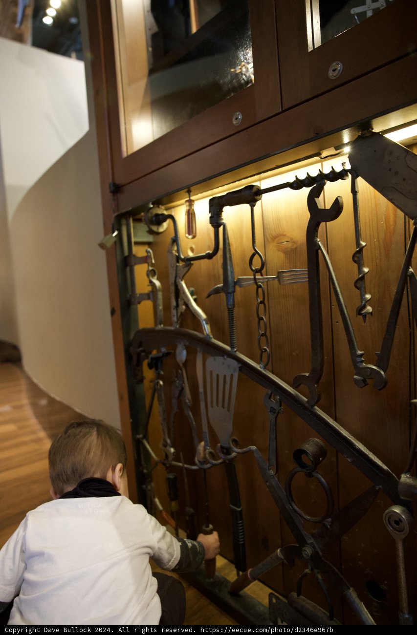 Wonderment in the World of Woodwork