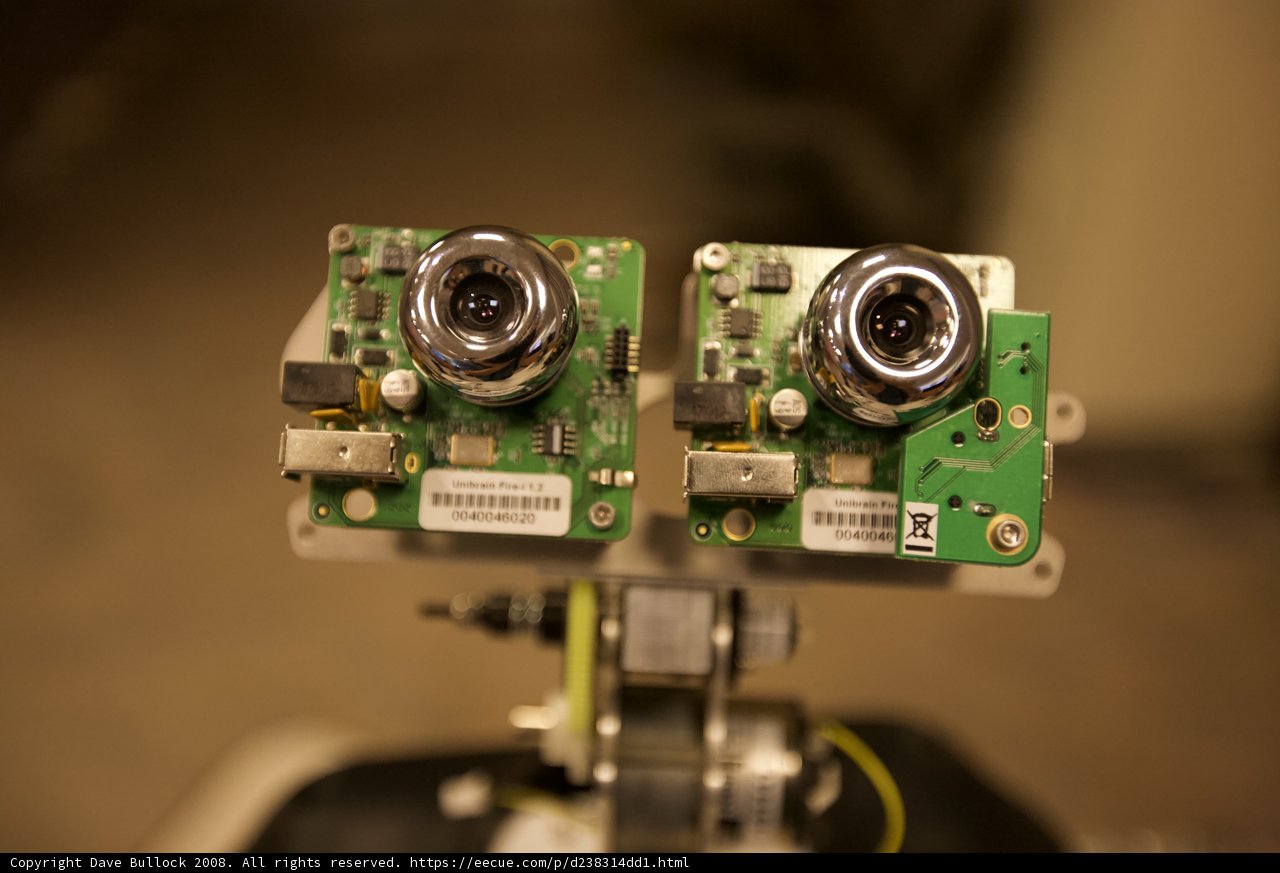 Double Camera Robot Arm