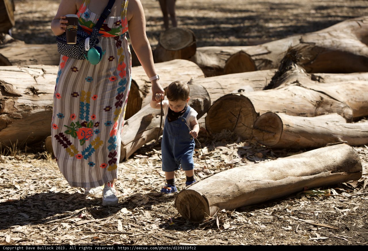 Into the Woods: A Mother and Child Adventure