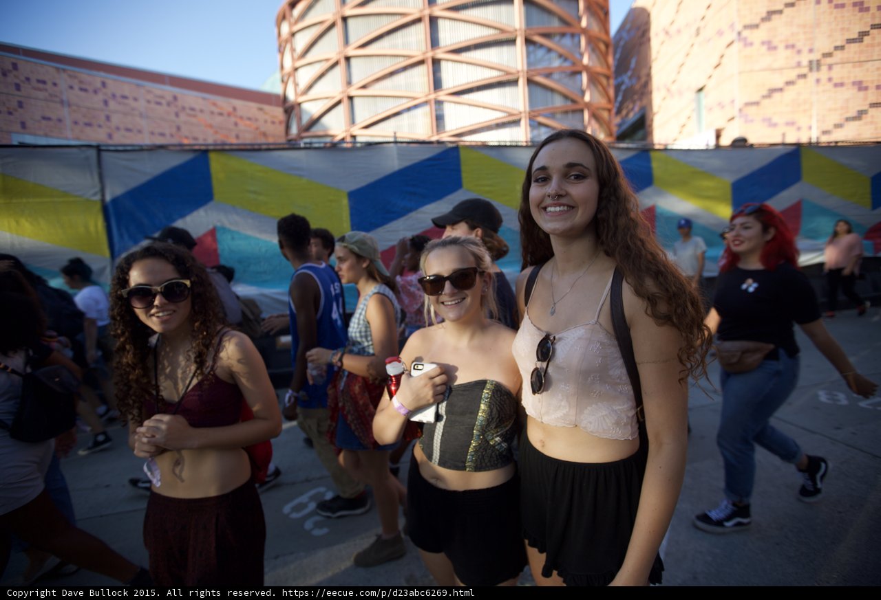 Festival Fashion Friends