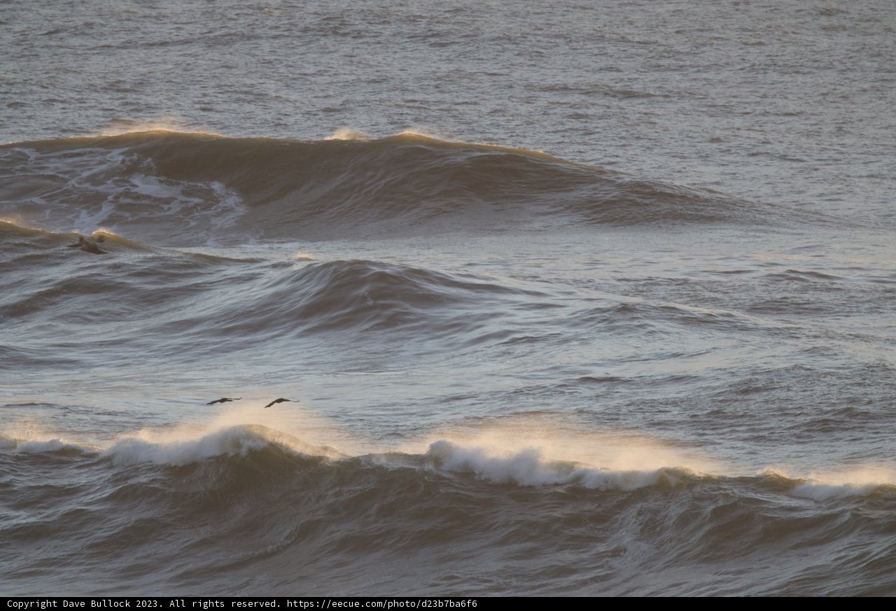Surf's Up on the Wings of Freedom