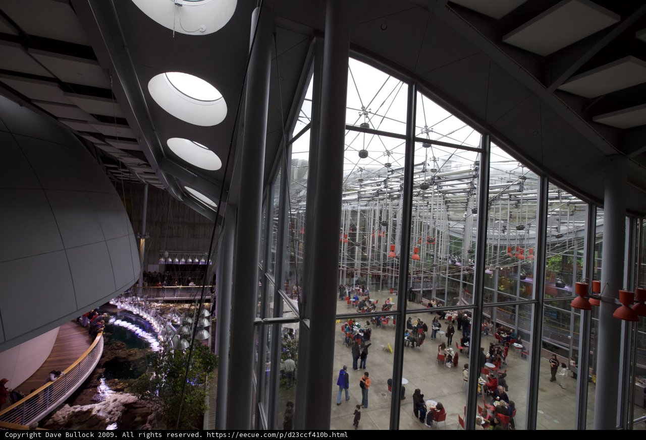 Inside the Busy Terminal Building