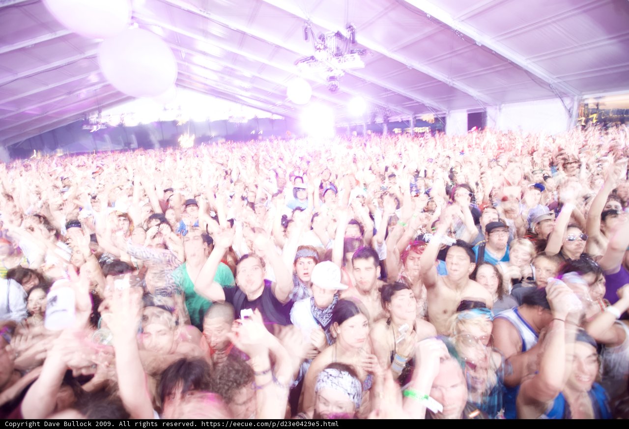 Coachella 2009 Concert Crowd