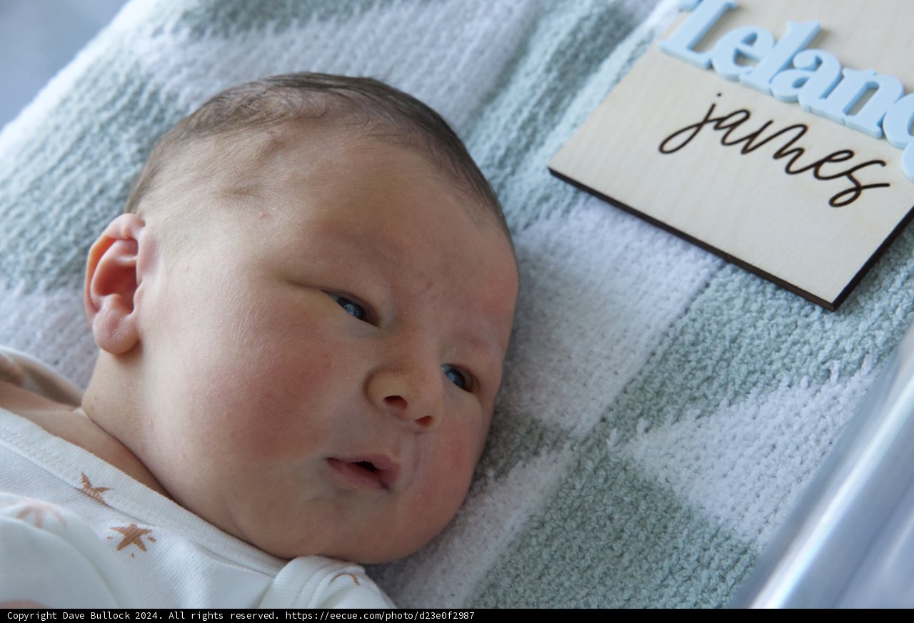 Welcome to the World, Leland James