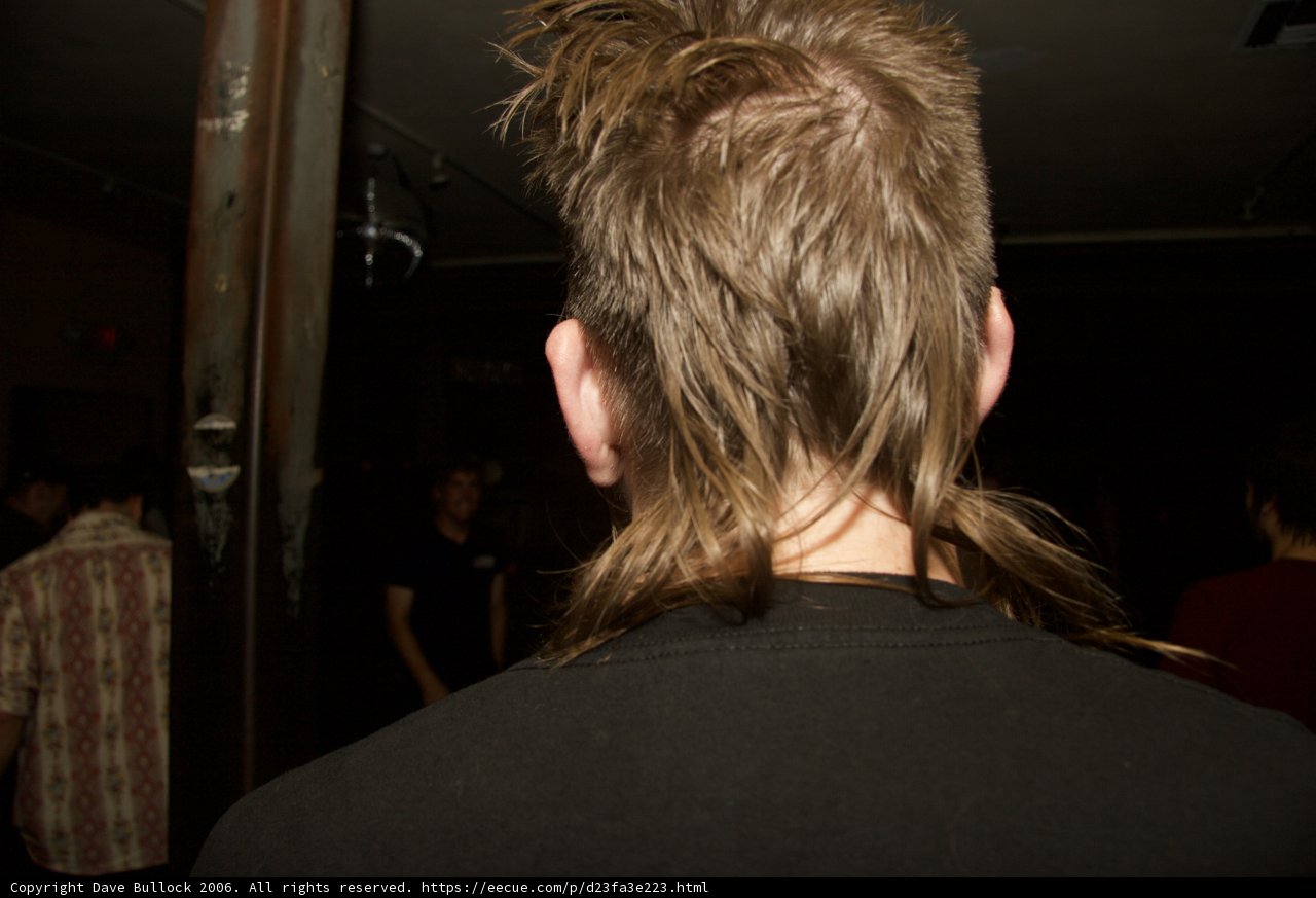 Rebel with a Mohawk