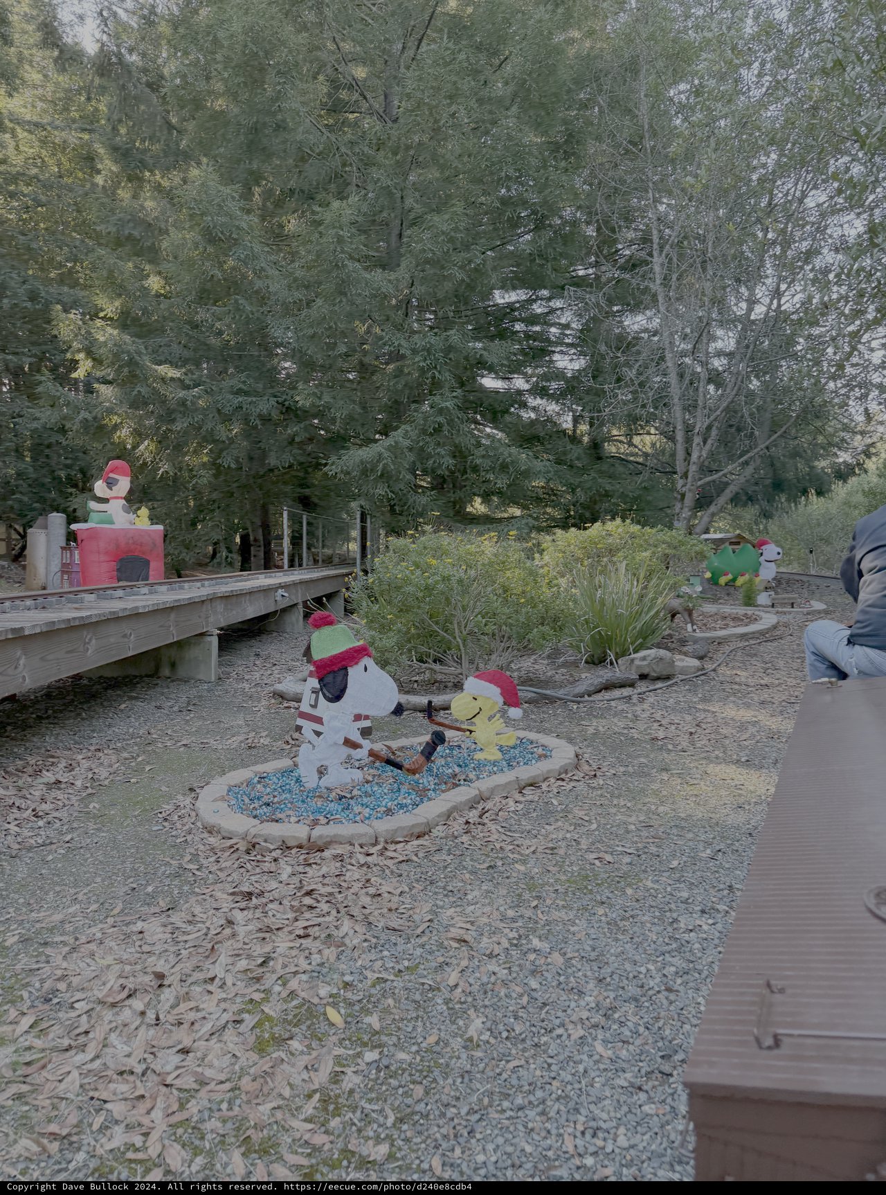 Whimsical Holiday Display in Park Setting