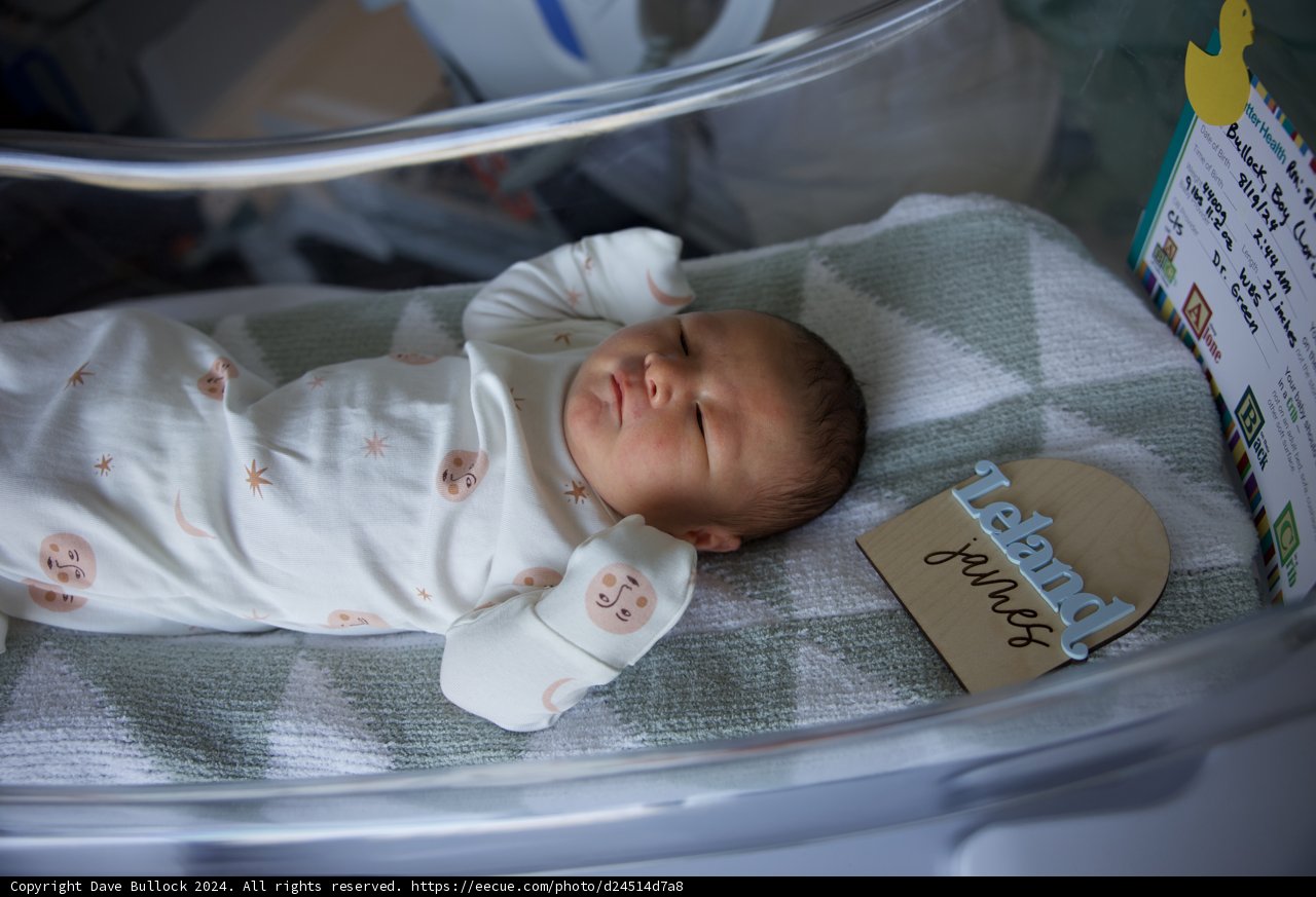 Welcome to the World, Leland