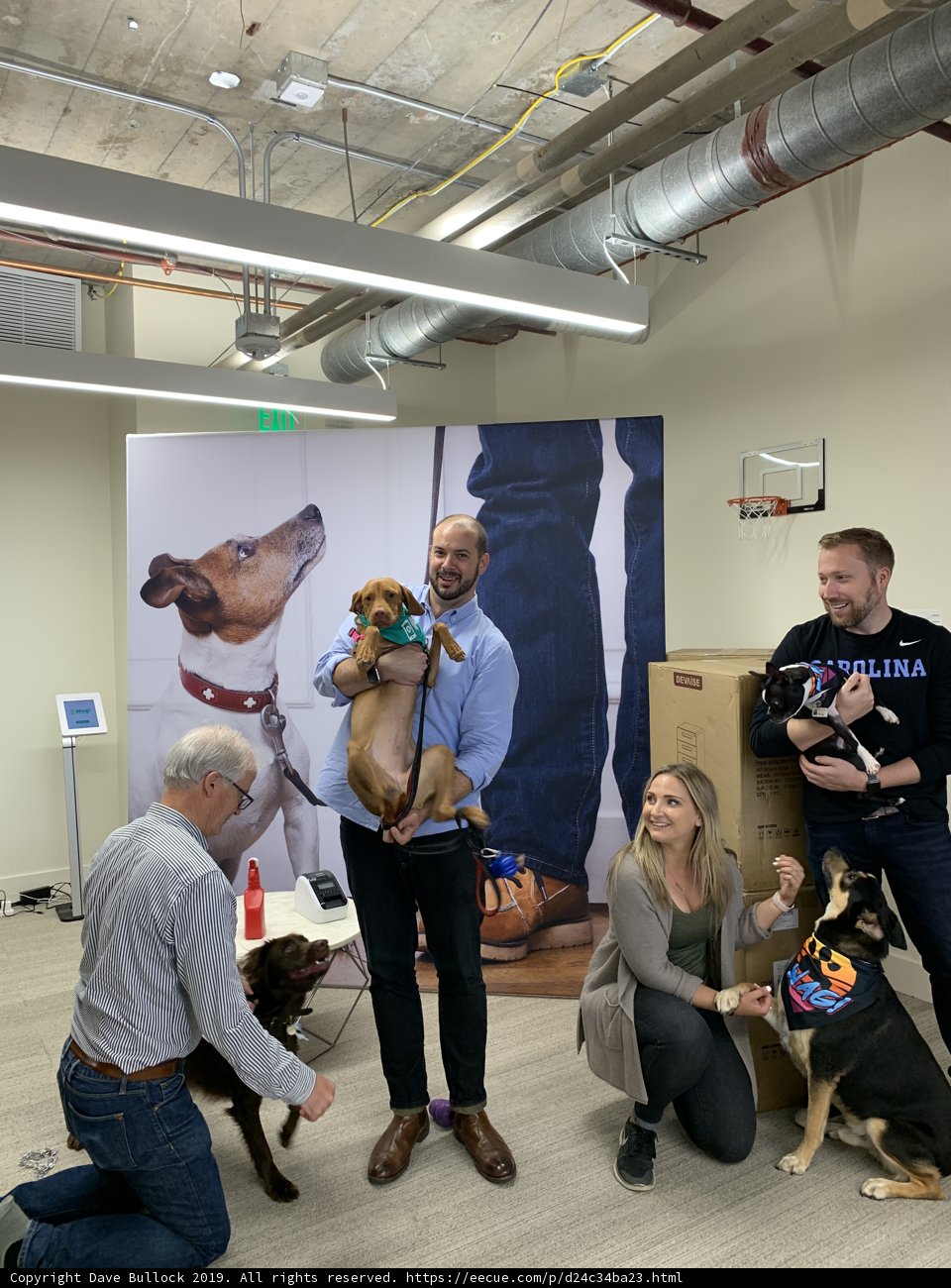 Pawsome Office Buddies