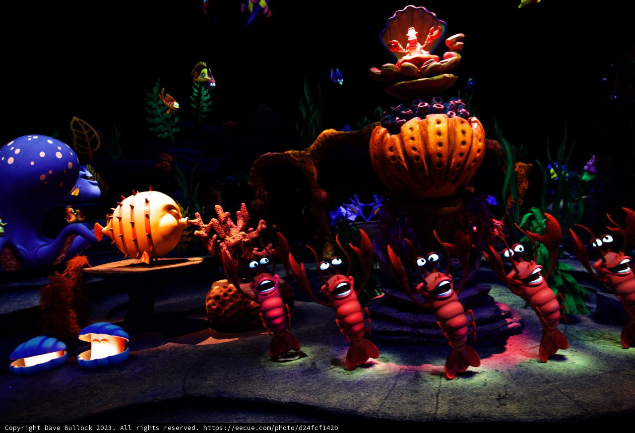 Magical Adventure at Disneyland 2023