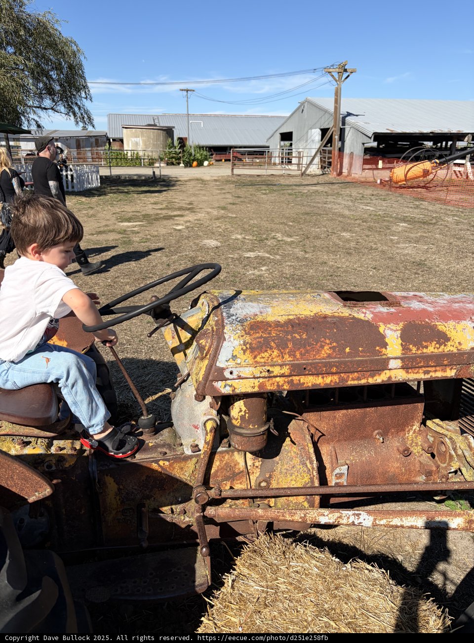 Tractor Adventures in Santa Rosa