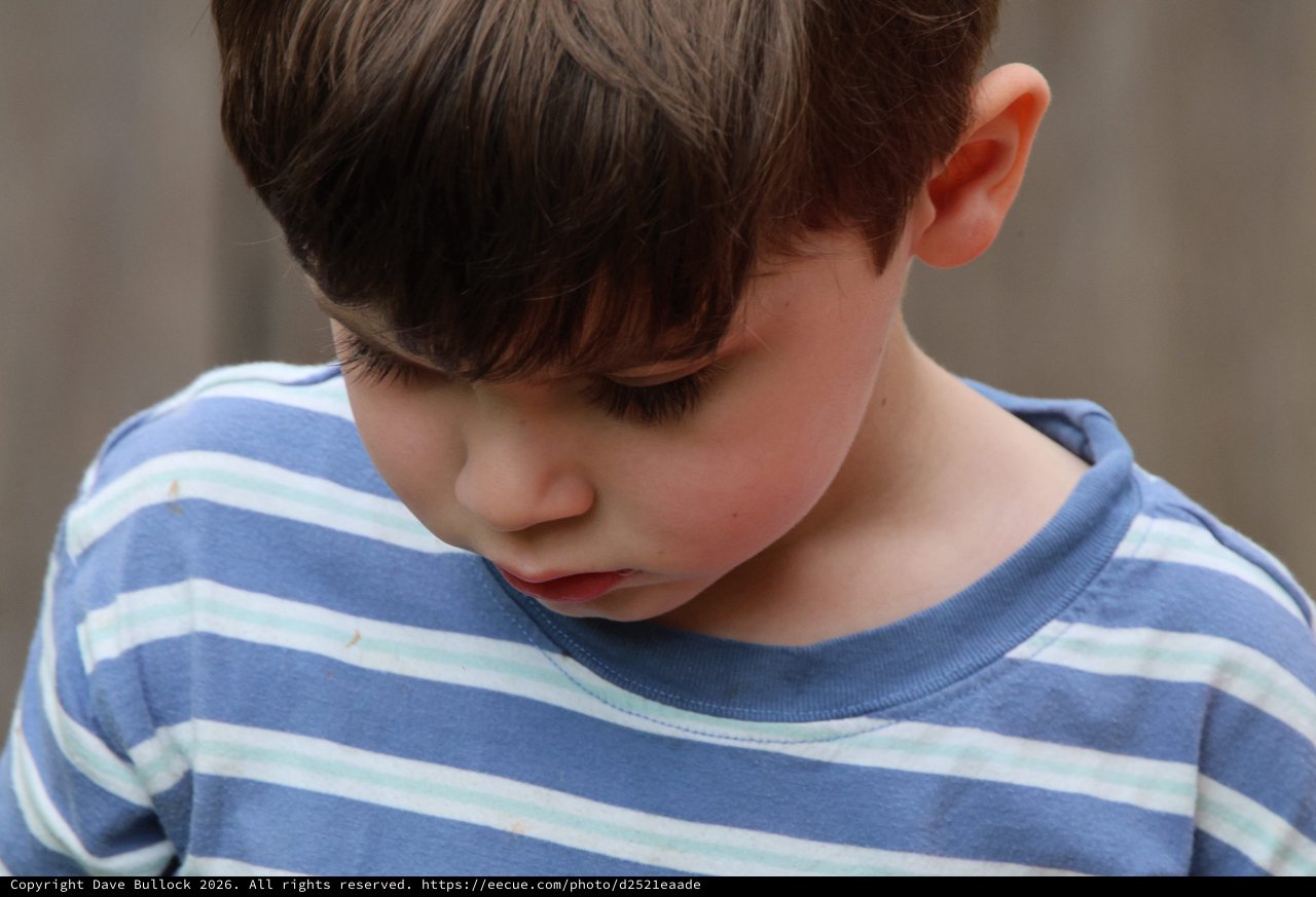 Young Boy in Blue Striped Shirt Looking Down