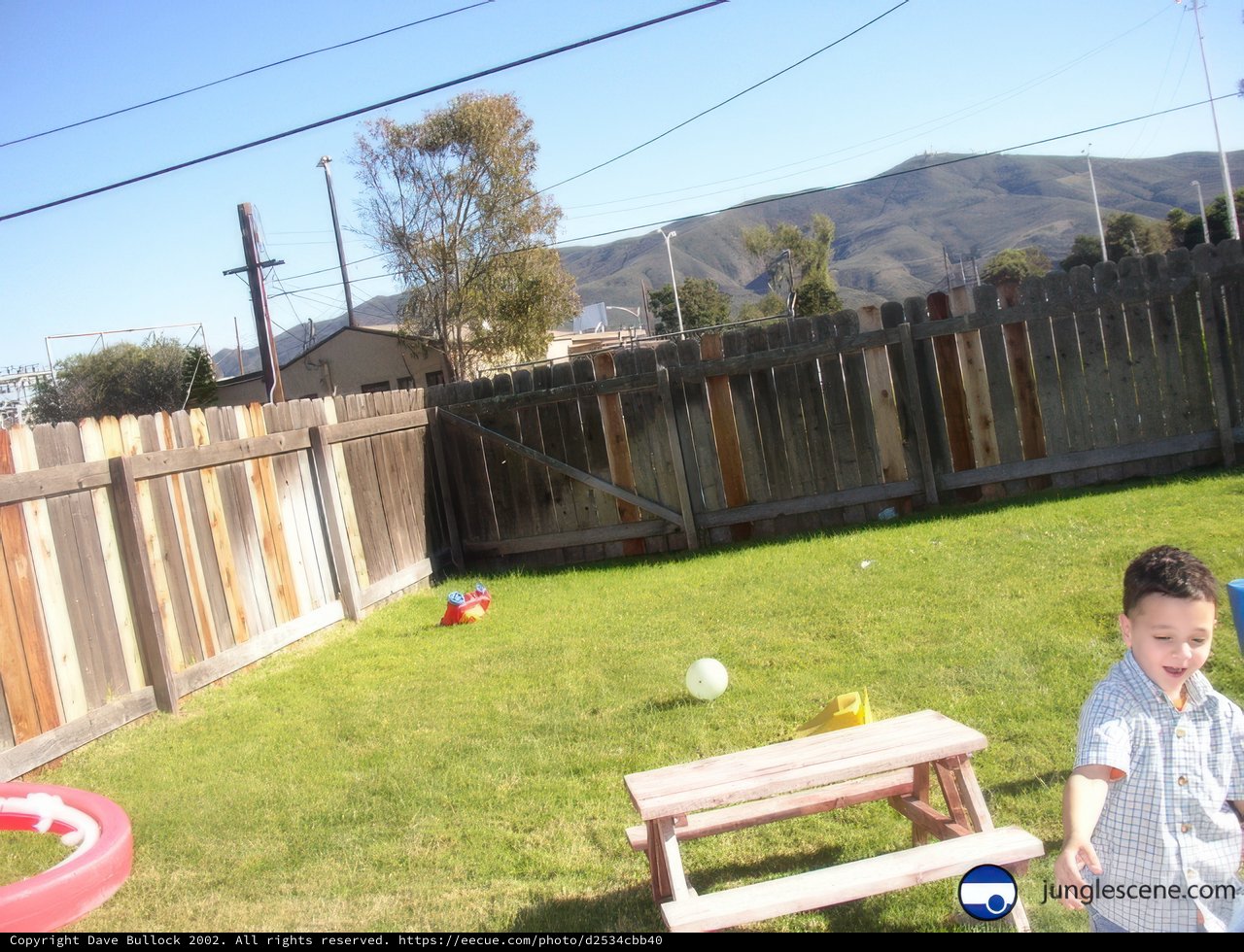 Backyard Fun