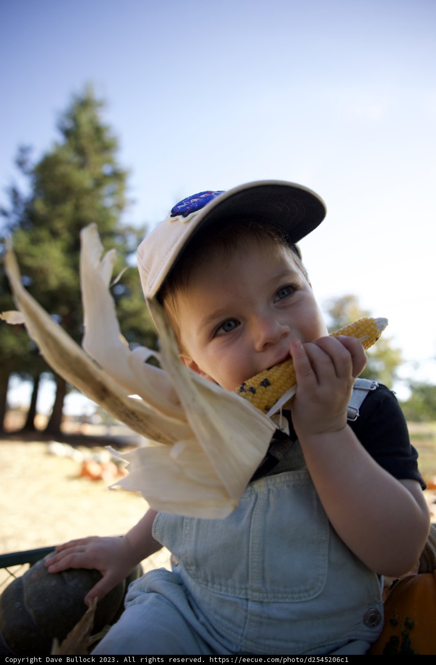 A Fall Day Out: Corn and Caps