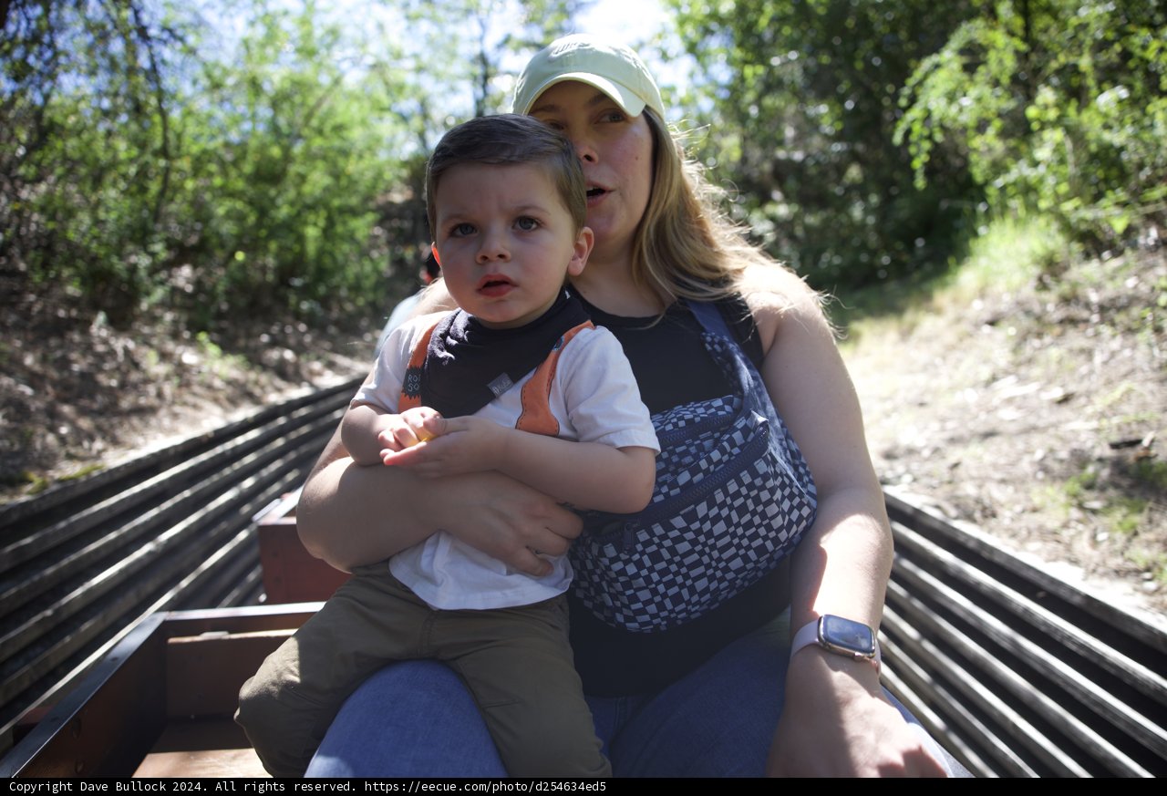 Afternoon in Walnut Creek