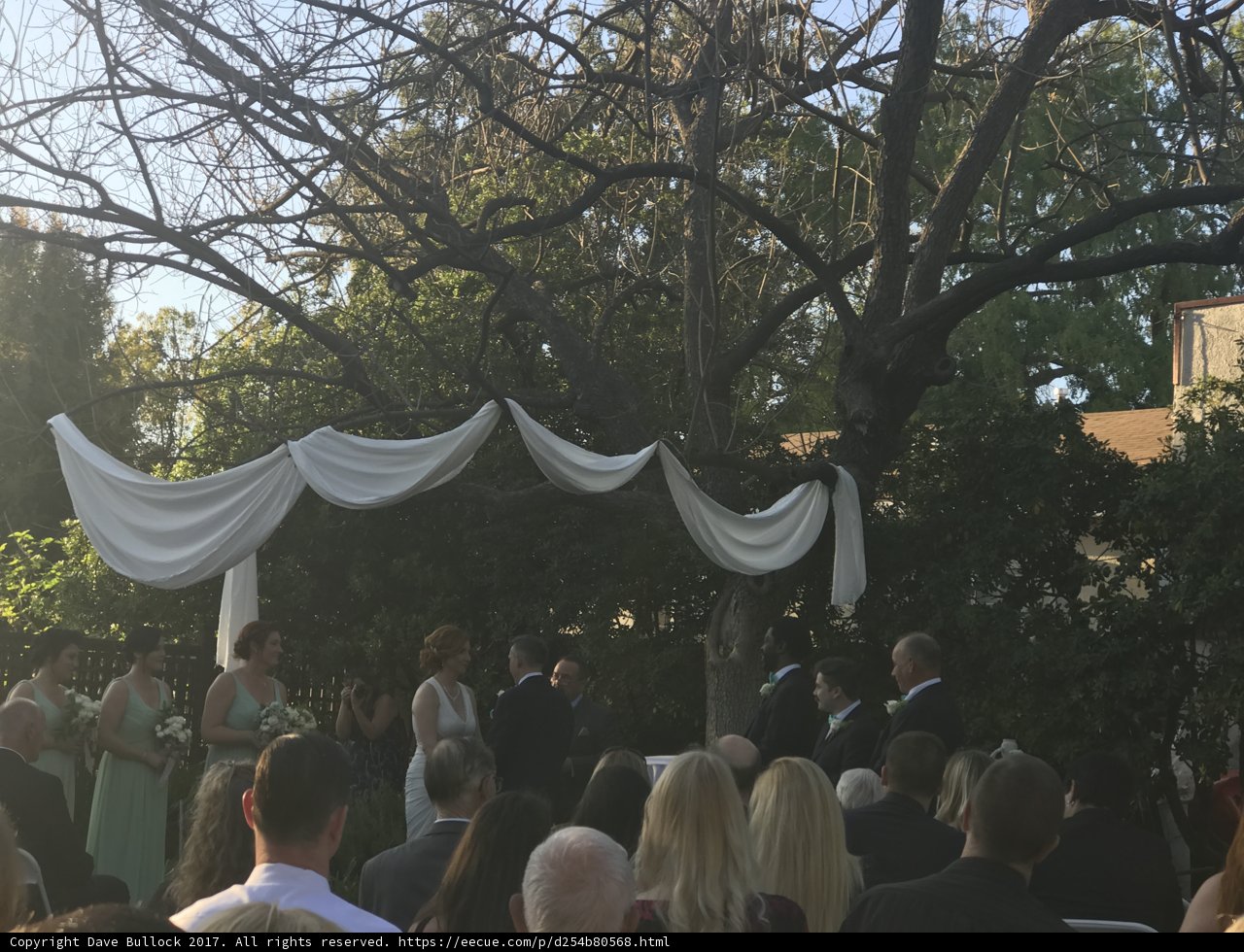 A Love-filled Gathering in the Park
