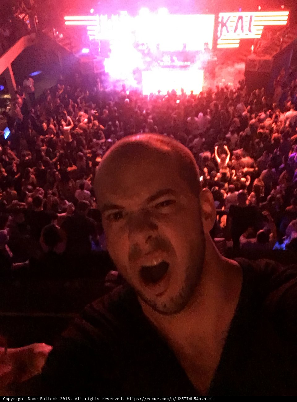 Dave B Rocks the Crowd with Open Mouth
