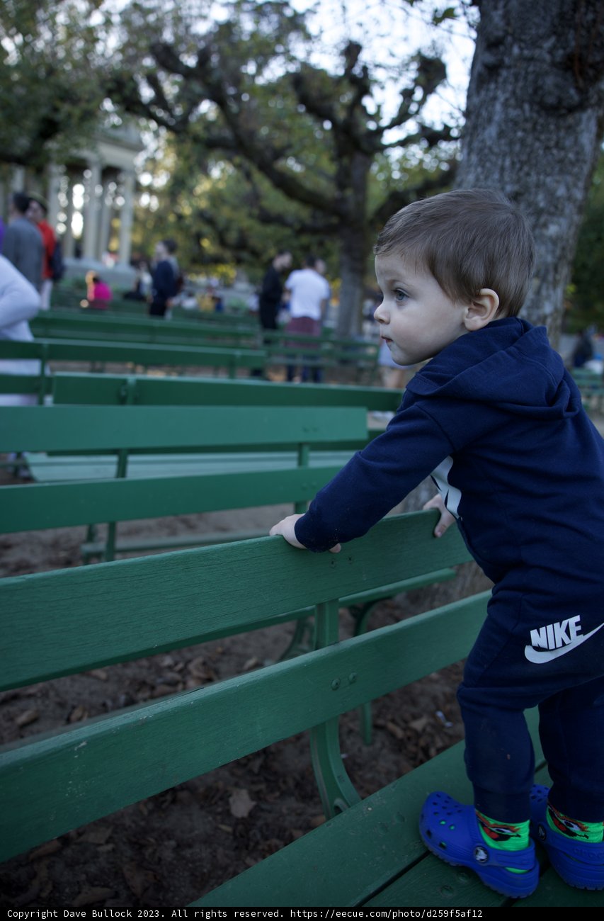 Wesley's Park Bench Adventure
