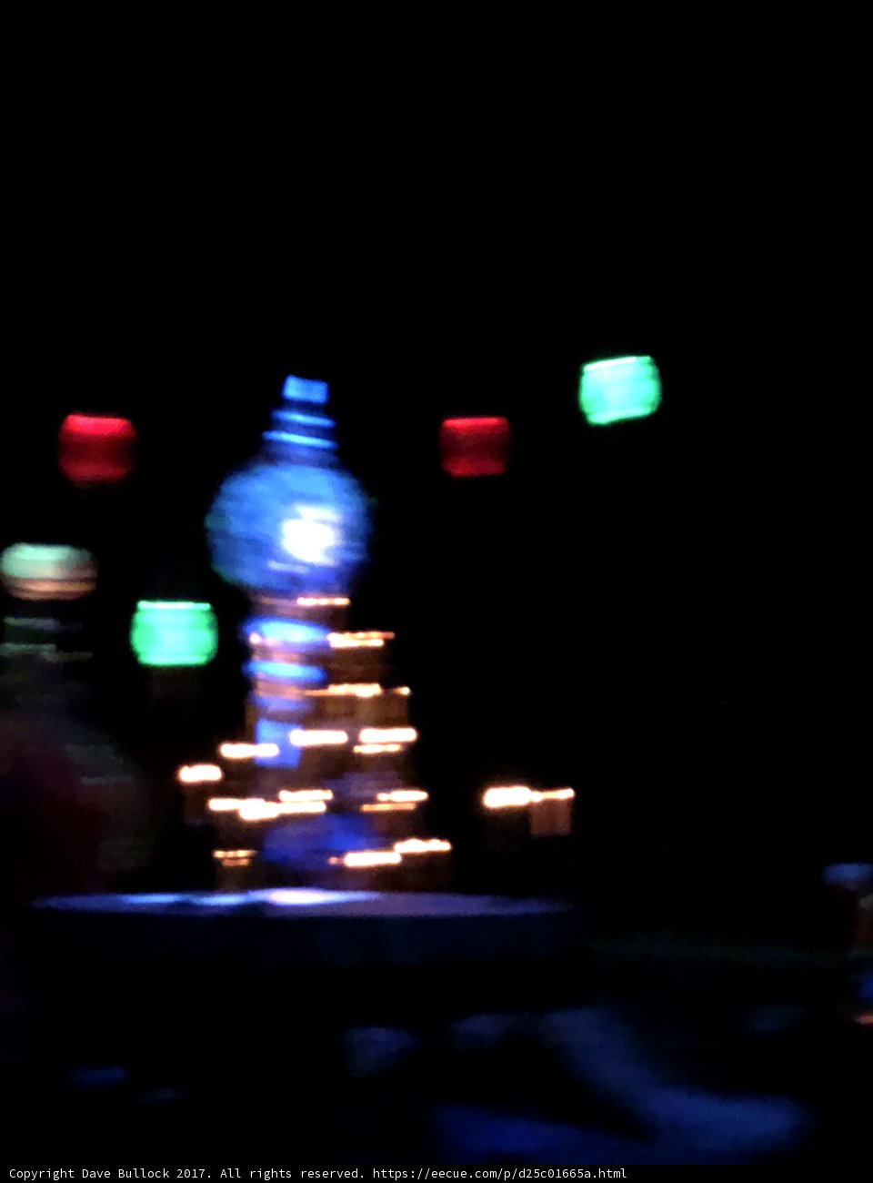 Blurry Christmas Tree Lights at Disneyland Park