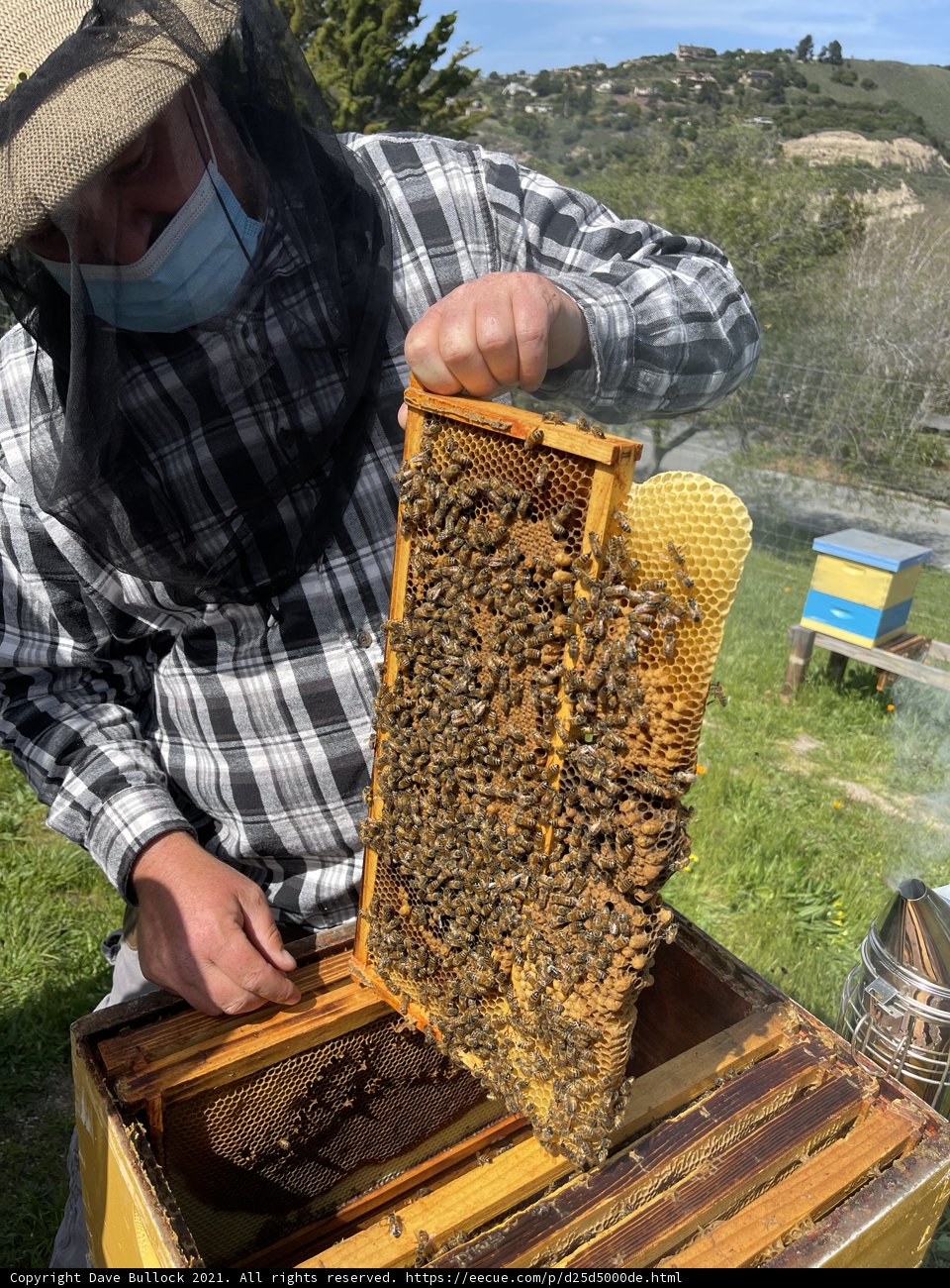 Beekeeper with a Mask and Hive