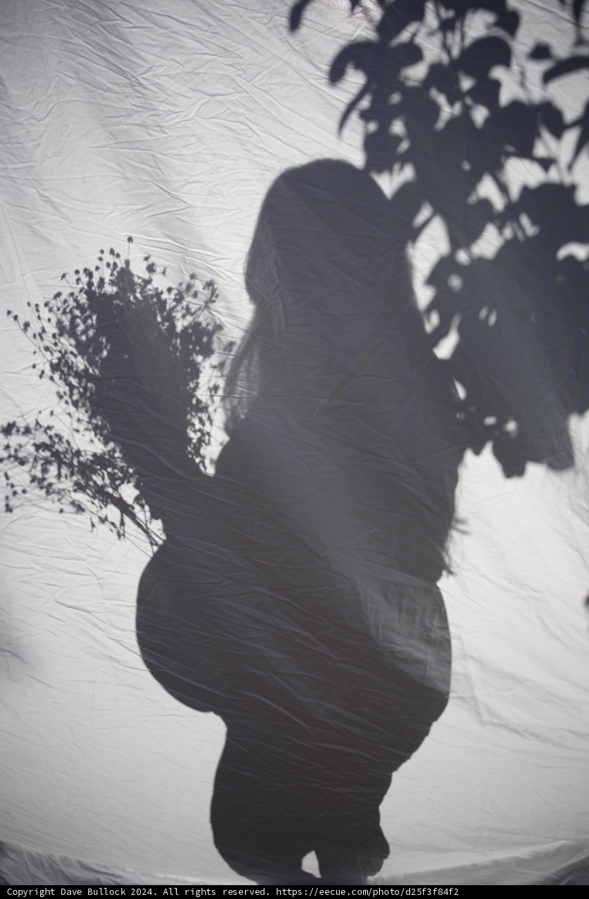 Anticipation in Silhouette