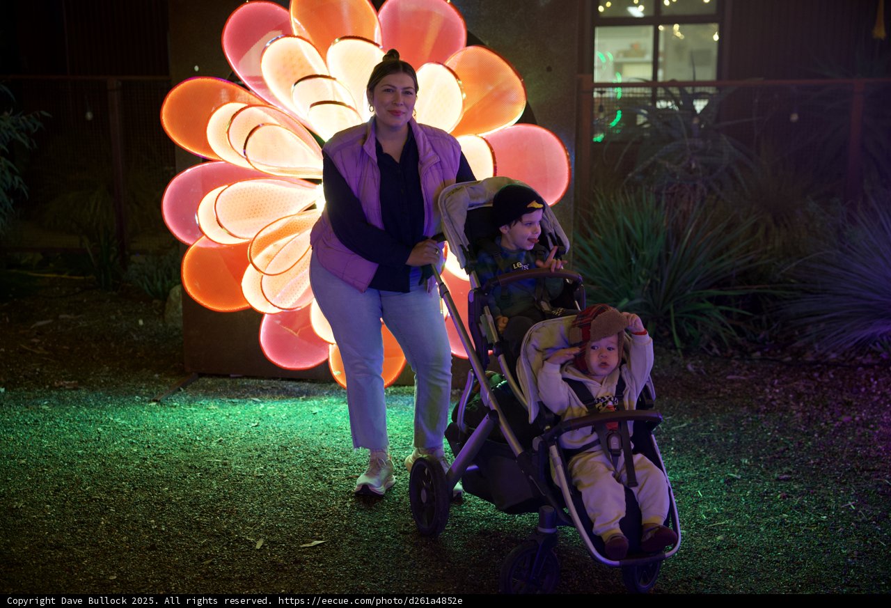 Illuminated Family Stroll