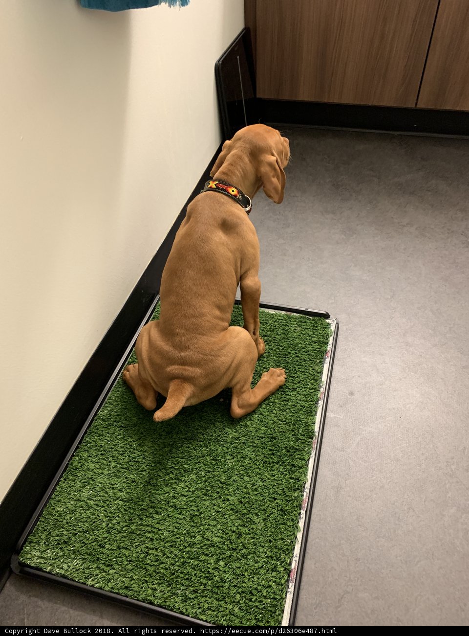 Bathroom Break