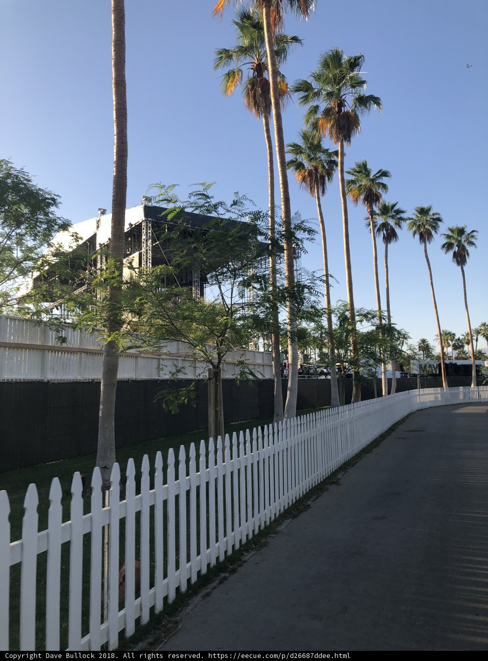 Palm Tree Paradise