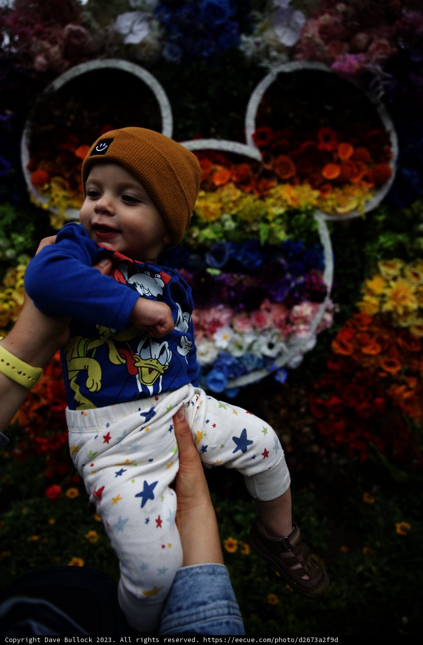 A Blooming Friendship at Disneyland