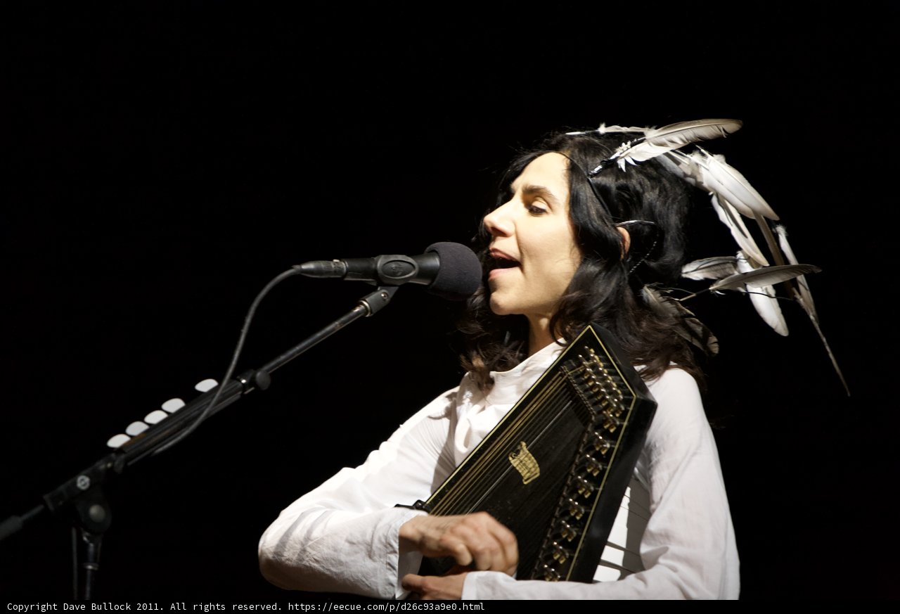 Feathered Songstress