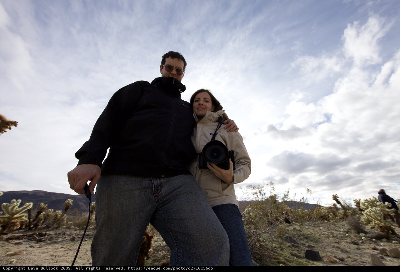 Couple Posing Among Cholla Cacti at Joshua Tree