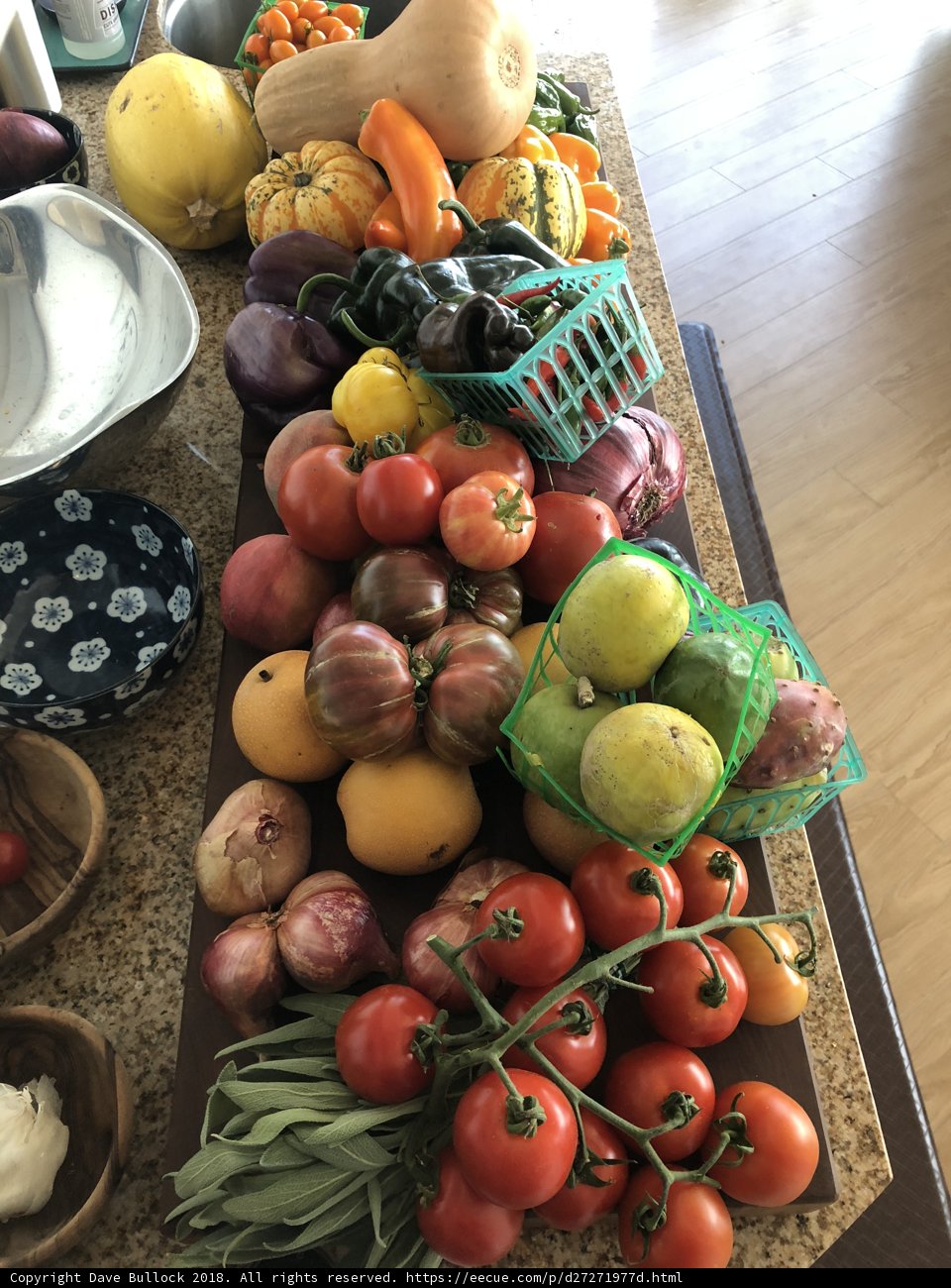 Abundance of Fresh Produce