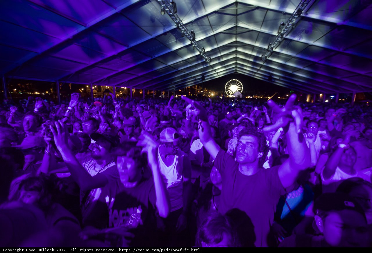 Electric Crowd at Coachella Nightlife