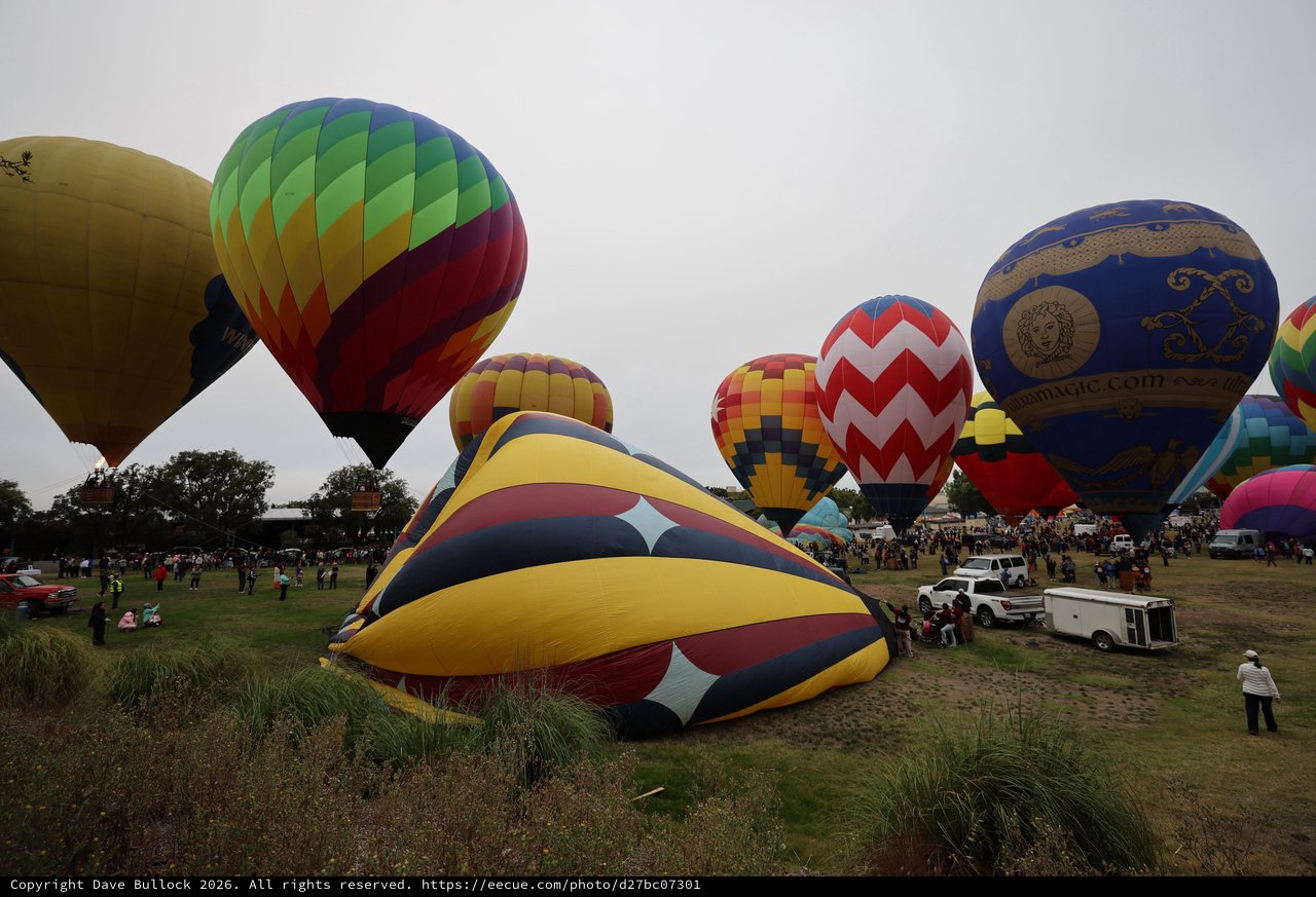 Colorful Hot Air Balloons Launch at Sonoma County Classic