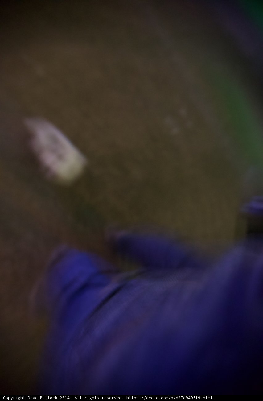 Blurry Night Walk