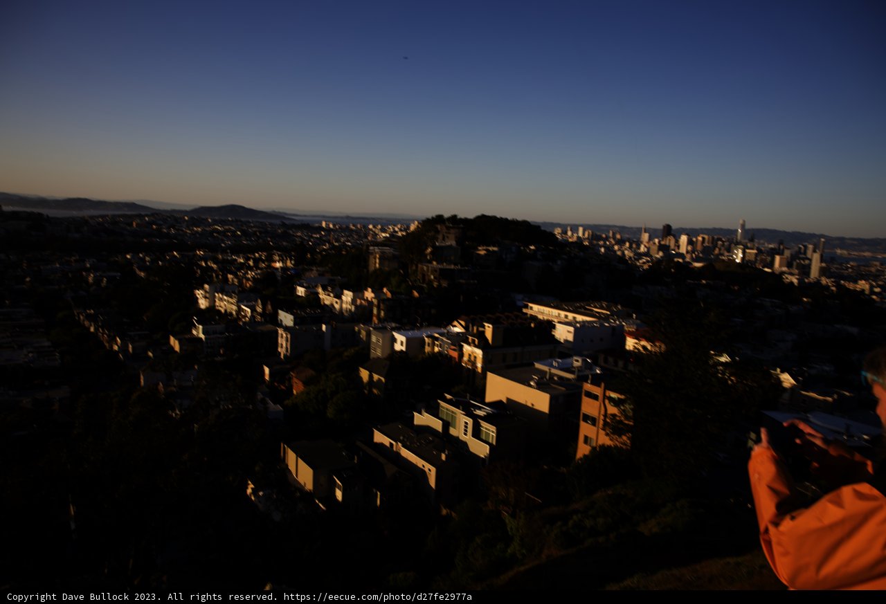 Capturing the Urban Jungle