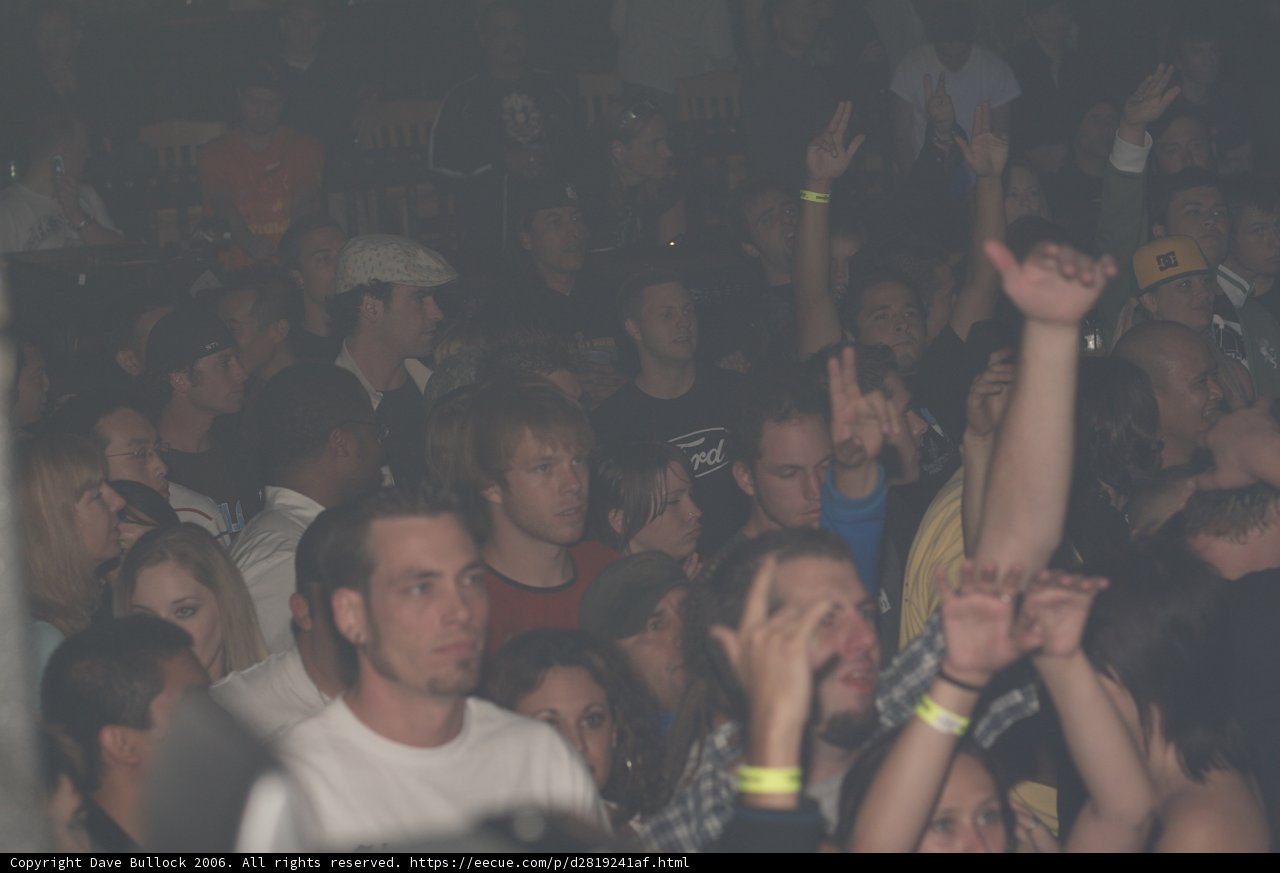 Urban Nightlife Concert Crowd