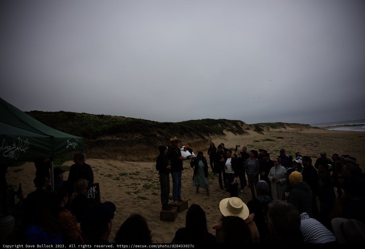 Coastal Celebration at Pescadero's Secret Beach