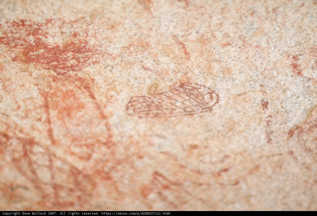 Avian Artistry on Textured Rock