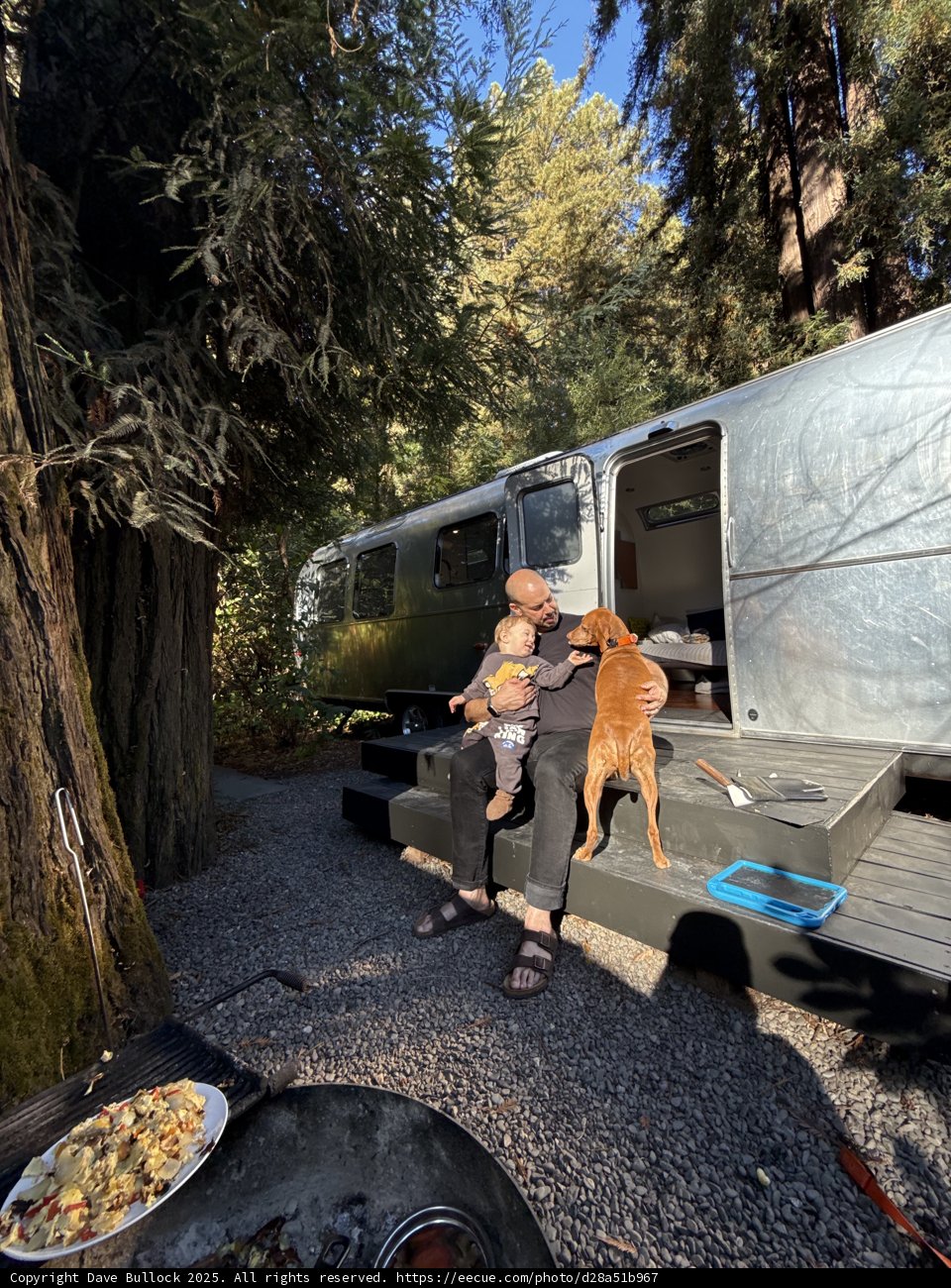 Forest Retreat with Family and Furry Friends
