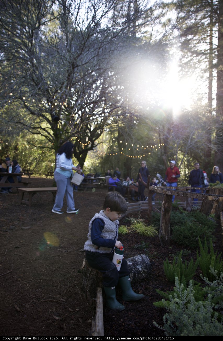 Sunlit Serenity at Thistlewyck