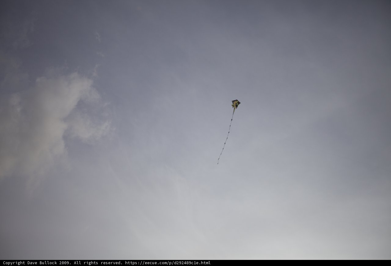 Flying High