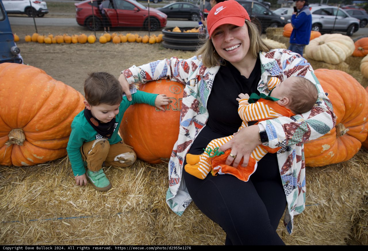 Harvest Joy at Walnut Creek