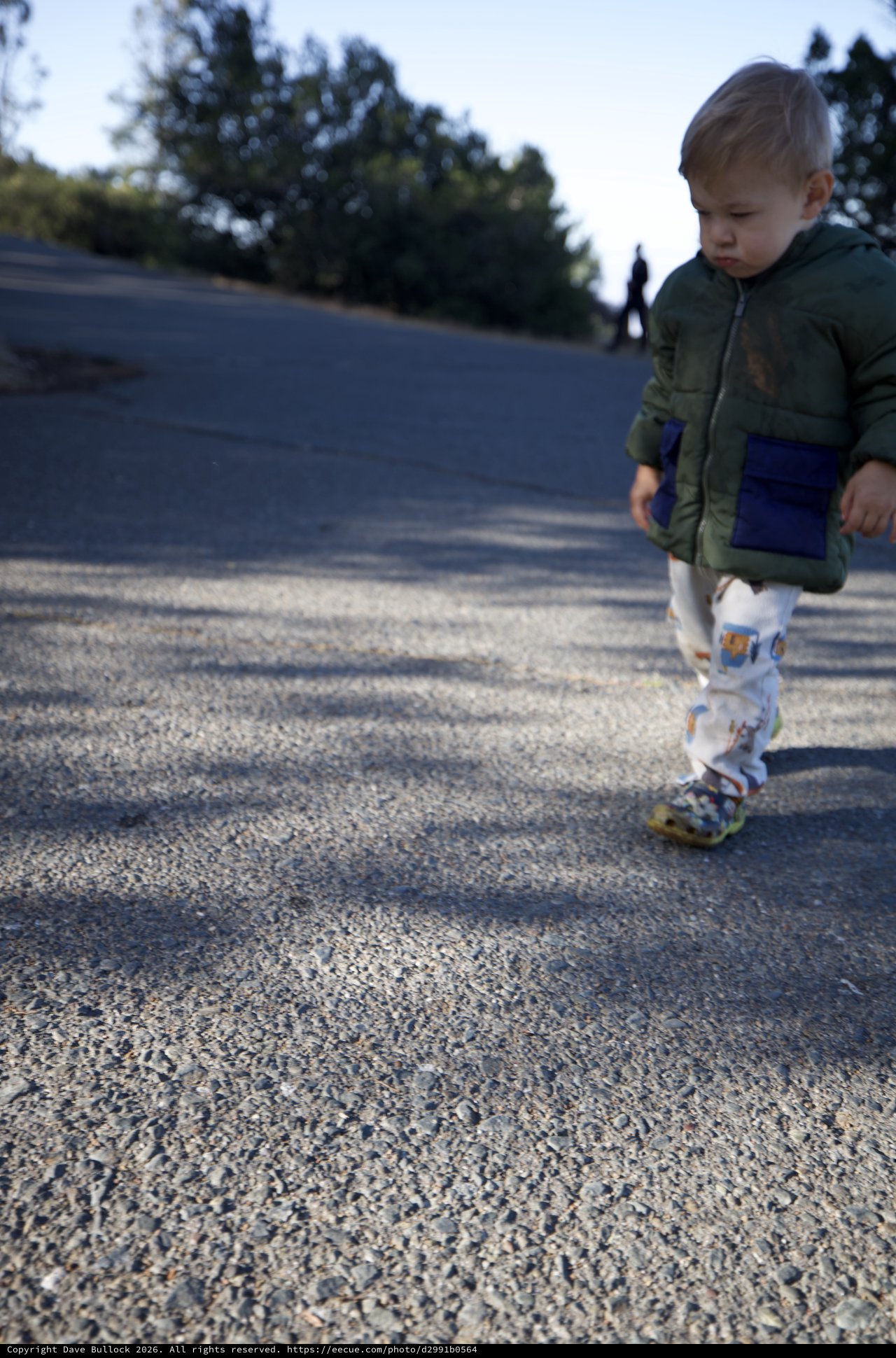 Toddler Explores Paved Path at Mount Diablo