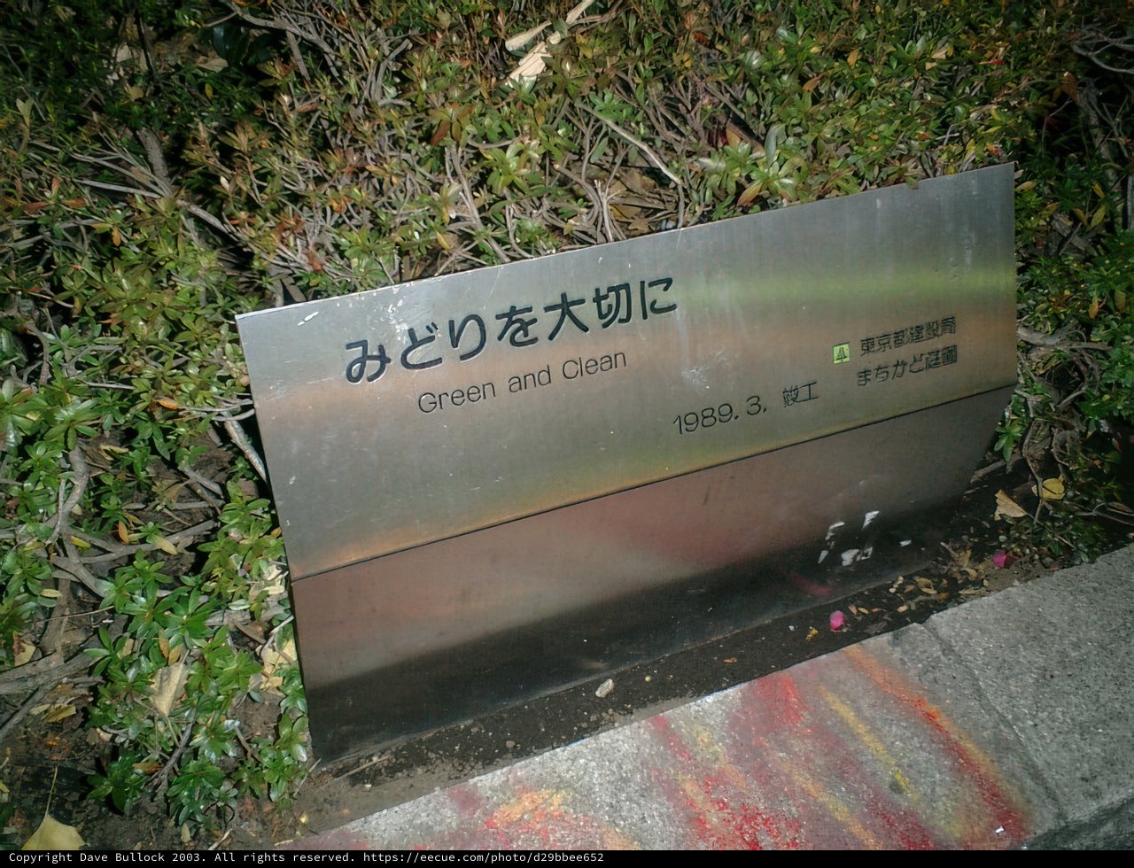 Green Tea Sign in Japanese