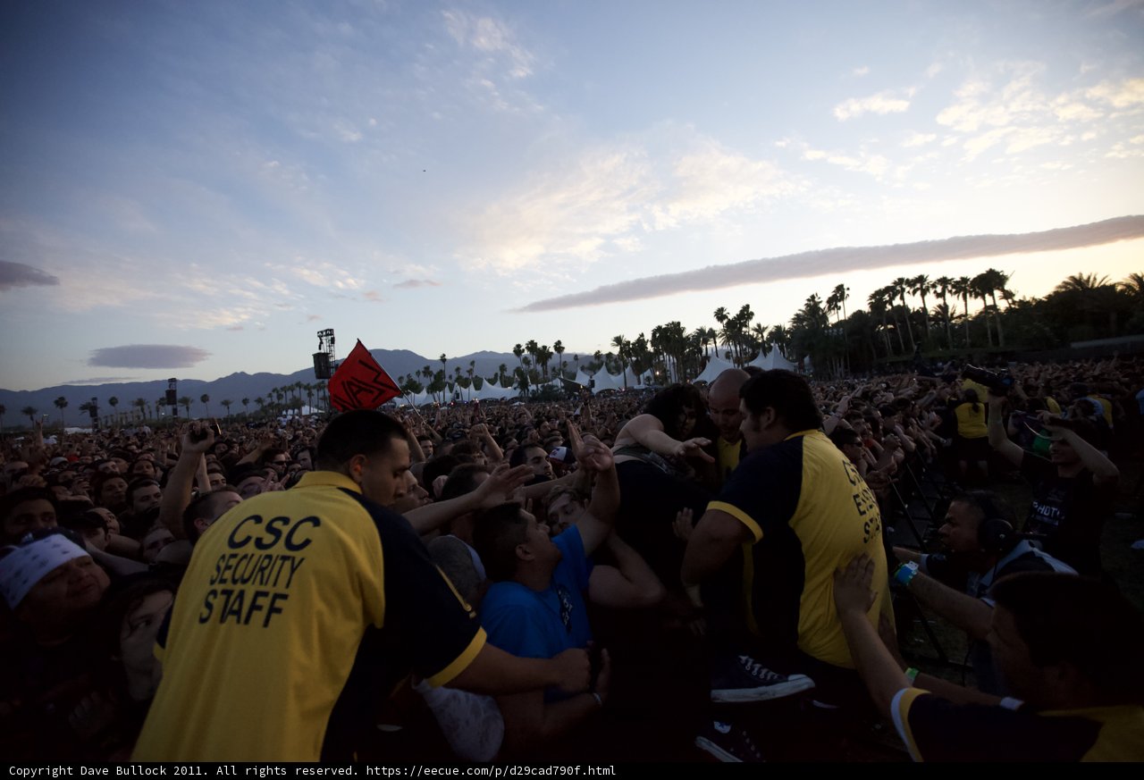 Flag-Waving Fan in the Concert Crowd
