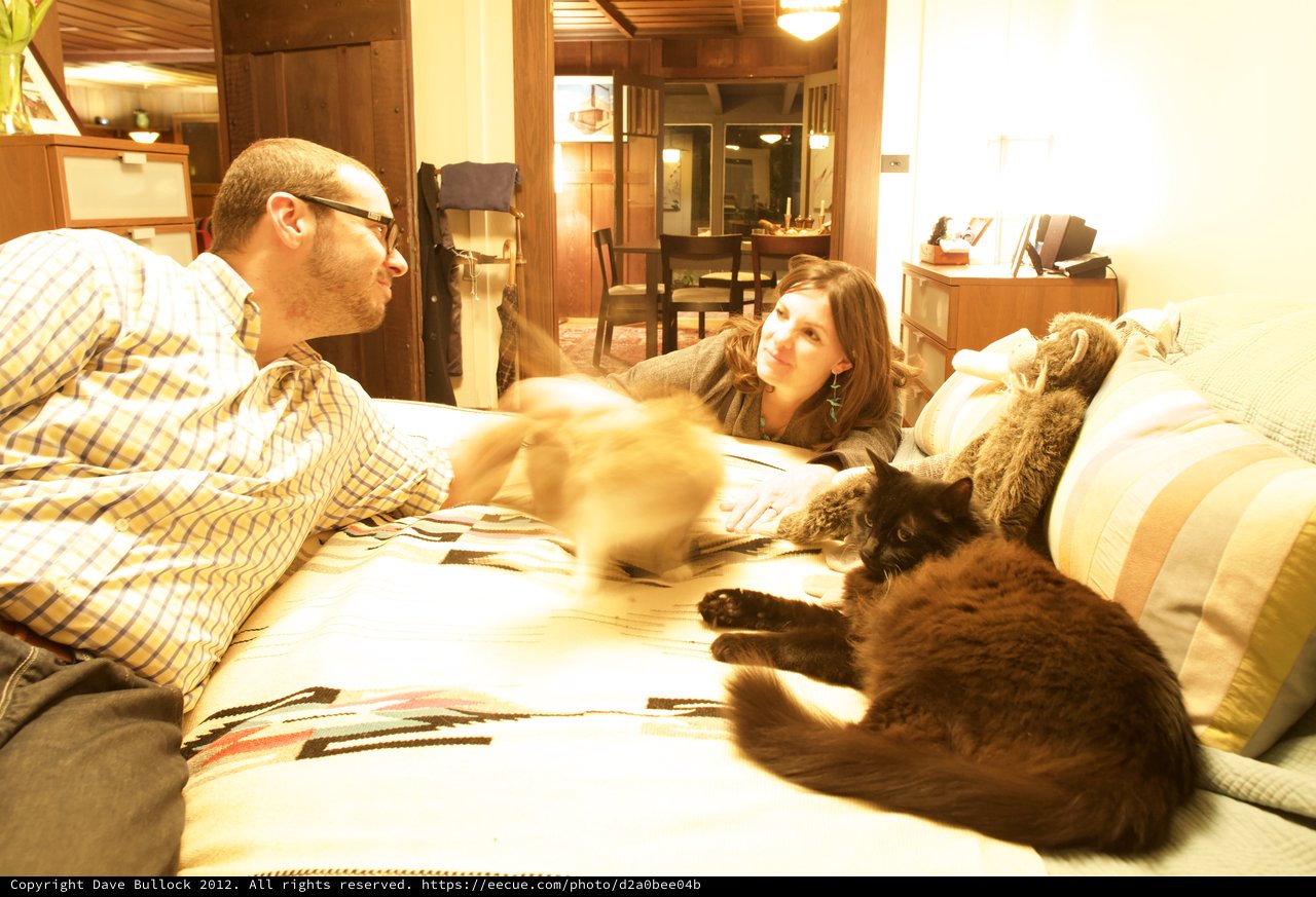 Couple Relaxing on Bed with Their Cats