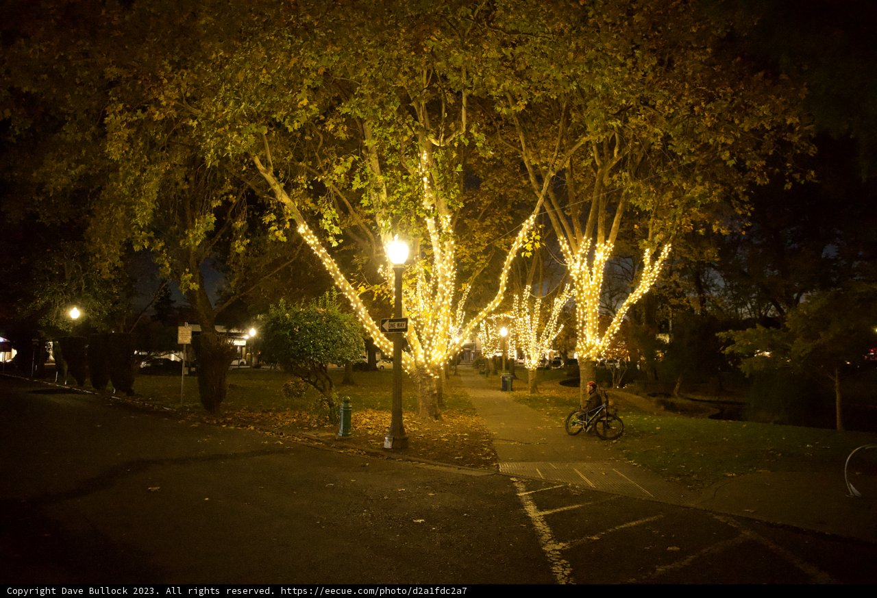 Illuminated Night in Downtown Sonoma