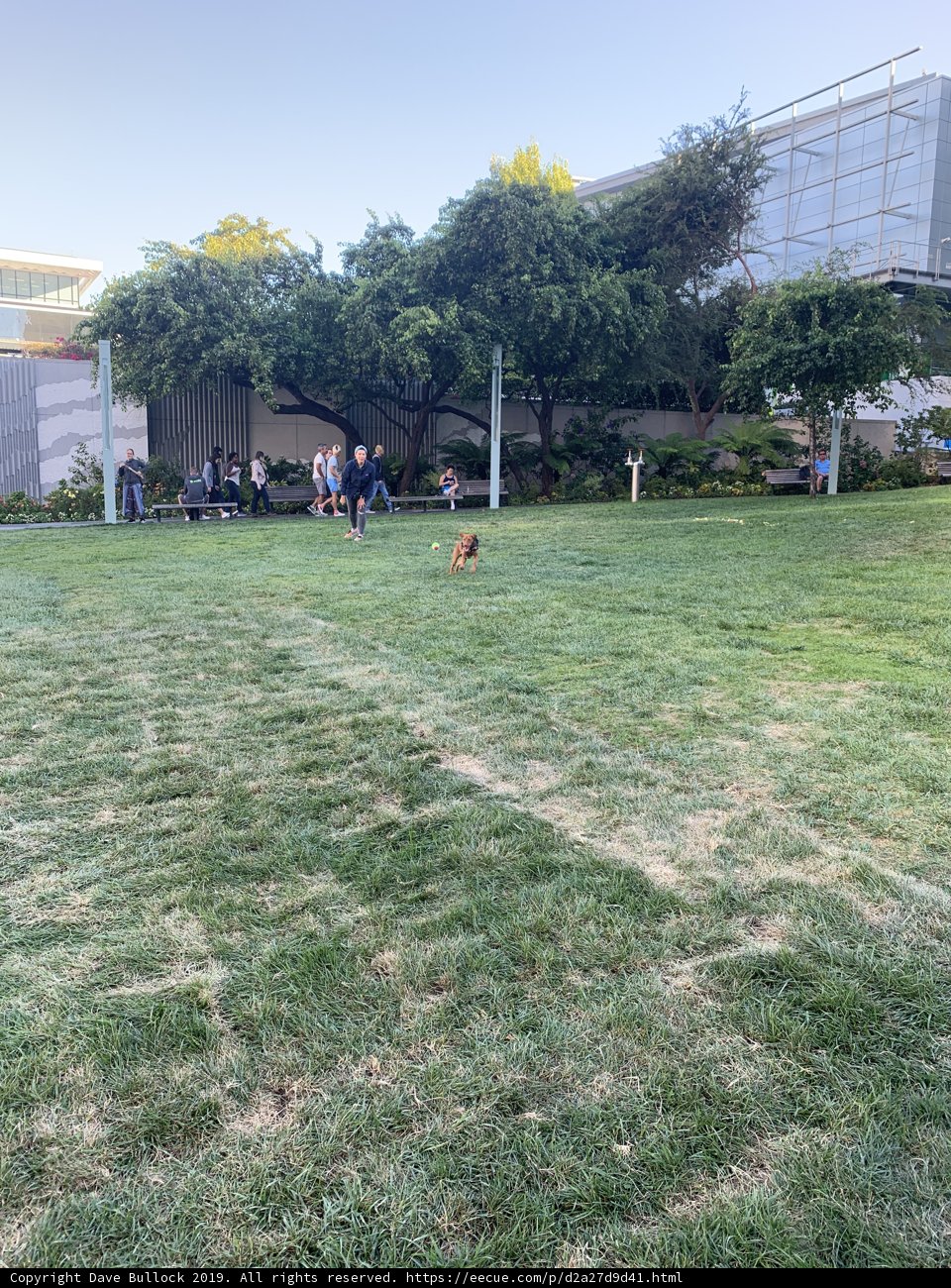 Frisbee Fun in a San Francisco Park